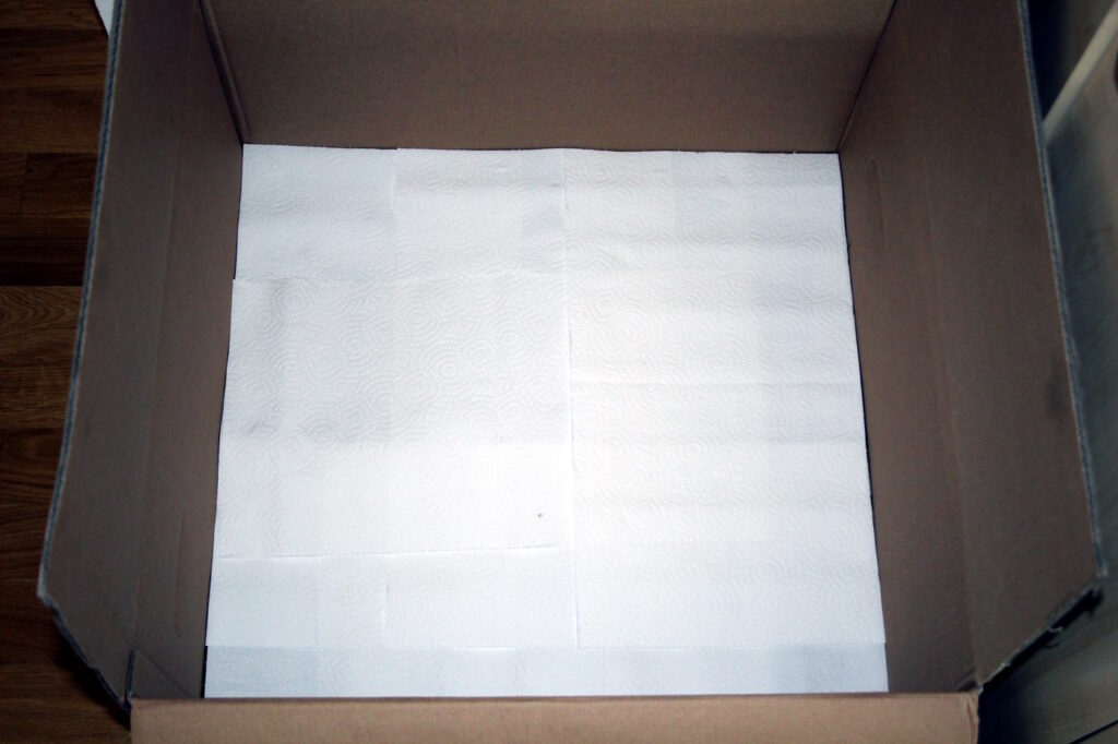 Das Foto zeigt einen Karton, der mir Küchenrollenpapier ausgelegt ist